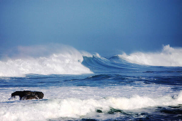 Seascape Art Art Print featuring the photograph Wild Blue by Kandy Hurley