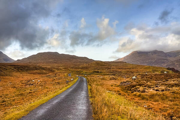 Galway Art Print featuring the photograph Wild Landscape of Connemara Ireland by Mark Tisdale