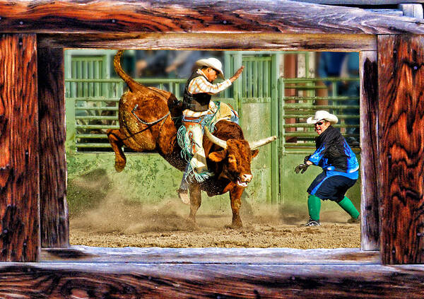 Bull Riding Art Print featuring the photograph Wild Ride by Priscilla Burgers