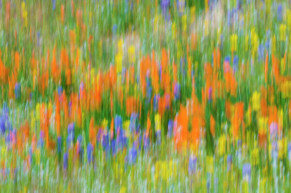 Abstract Art Print featuring the photograph Wildflower Abstract, Tehachapi by Russ Bishop