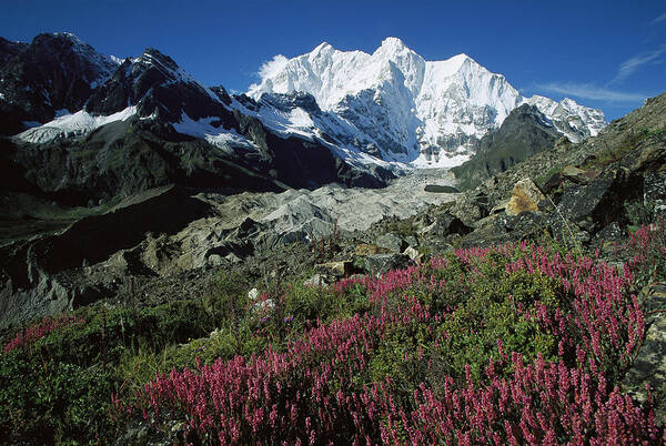 Feb0514 Art Print featuring the photograph Wildflowers And Kangshung Glacier by Colin Monteath