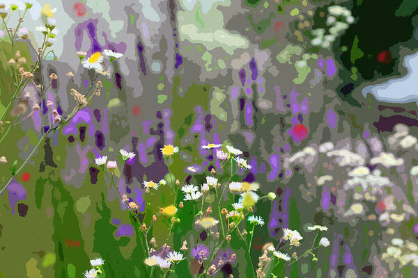 Wildflowers Art Print featuring the photograph Wildflowers by Jackson Pearson