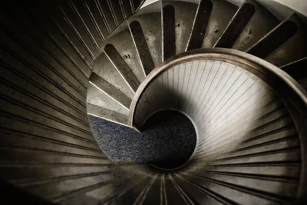 Staircase Art Print featuring the photograph Winding Down by Joan Carroll