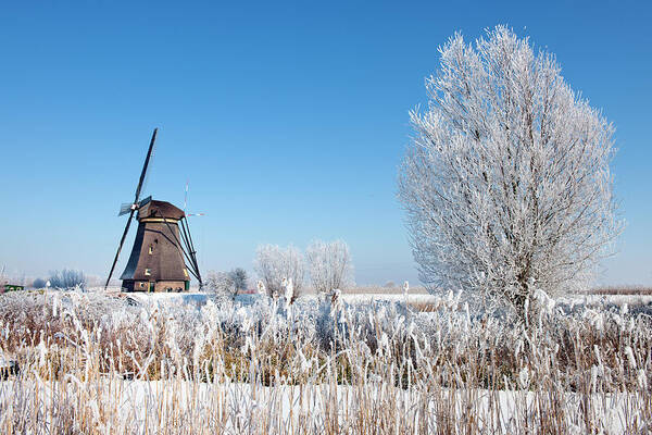 Scenics Art Print featuring the photograph Windmill At Kinderdijk In Wintry by Pidjoe