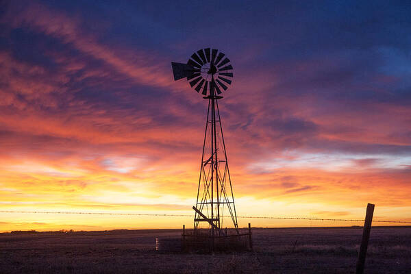  Pink Art Print featuring the photograph Windmill Dressed up by Shirley Heier