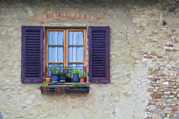 Brick Art Print featuring the photograph Window with Potted Plants of Rural Tuscany by David Letts