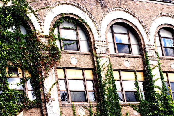 Windows Art Print featuring the photograph Windows by Melissa Newcomb
