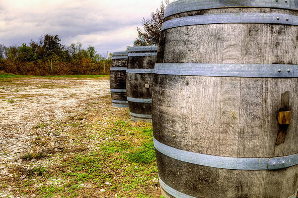 Wine Art Print featuring the photograph Wine barrels by Alexey Stiop