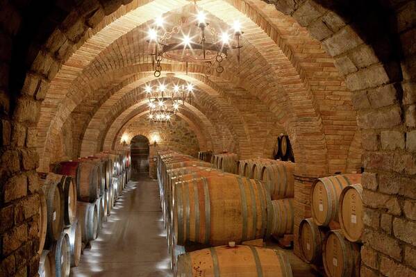 Aged Art Print featuring the photograph Wine Barrels In A Winery by Peter Menzel