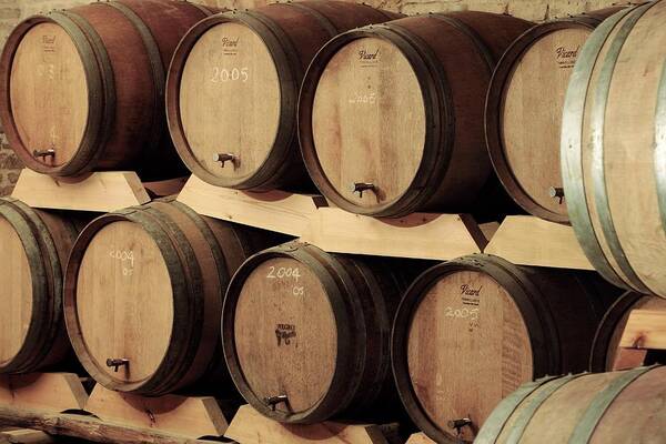 Vicard Tonnellerie Art Print featuring the photograph Wine Barrels by Mauro Fermariello/science Photo Library
