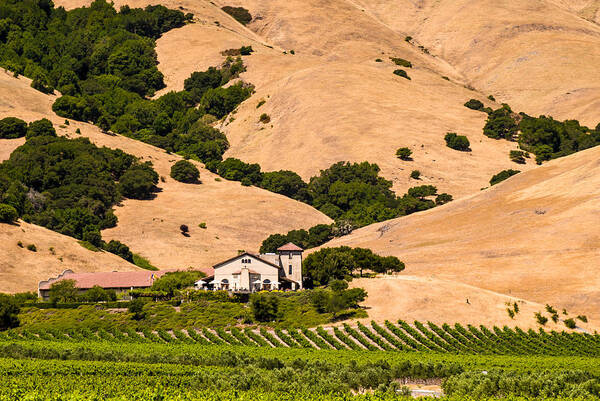 California Art Print featuring the photograph Wine Country by Paul Johnson