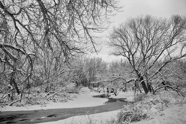 Winter Art Print featuring the photograph Winter Creek in Black and White by James BO Insogna