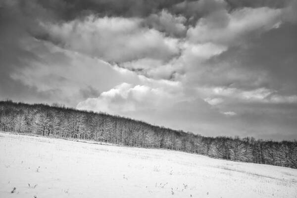 Landscape Art Print featuring the photograph Winter Expanse by Chris Bordeleau
