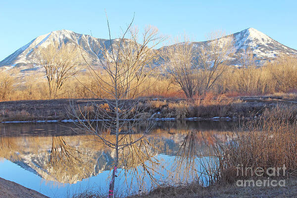 Fall Colors Art Print featuring the photograph Winter Feb 2015 Colorado by Dale Jackson