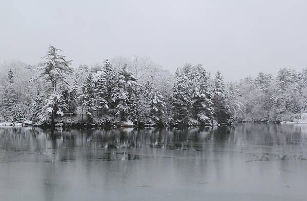 Winter Art Print featuring the photograph Winter Reflections by Becca Wilcox