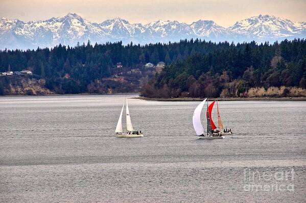 Photography Art Print featuring the photograph Winter Sails by Sean Griffin