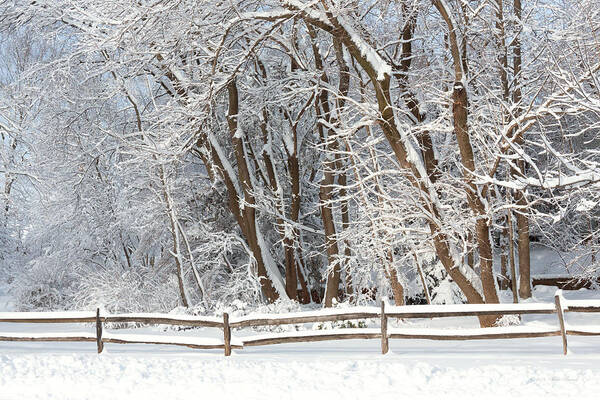 Snow Art Print featuring the photograph Winter - Westfield NJ - Snow Day by Mike Savad
