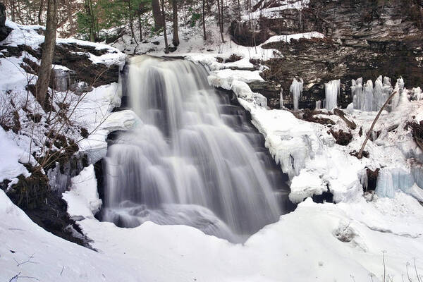 Waterfall Art Print featuring the photograph Winter Wilds At Erie Falls by Gene Walls