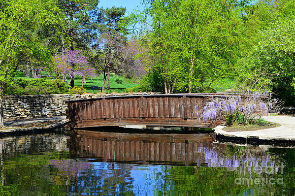 Wisteria Art Print featuring the photograph Wisteria in Bloom at Loose Park Bridge by Catherine Sherman