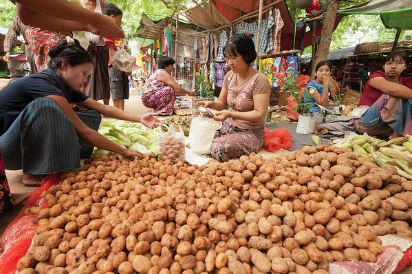 People Art Print featuring the photograph Women Sorting Vegetables At Local by Cultura Rm Exclusive/yellowdog