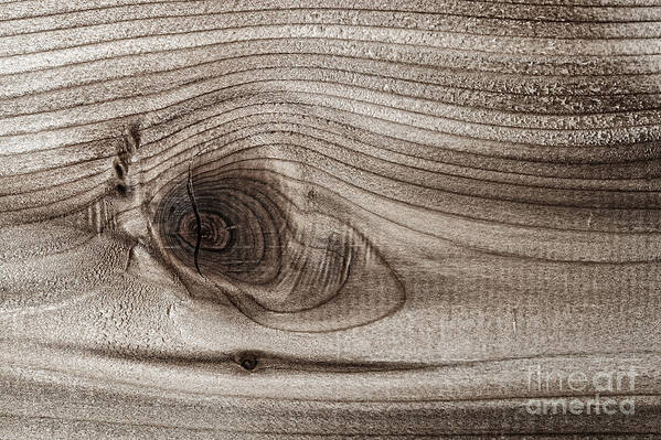 Wood Art Print featuring the photograph Wood knot abstract by Elena Elisseeva