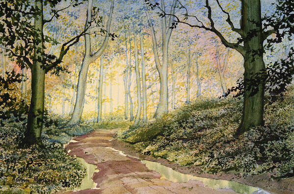 Watercolour Art Print featuring the painting Woodland Trail at Sledmere by Glenn Marshall