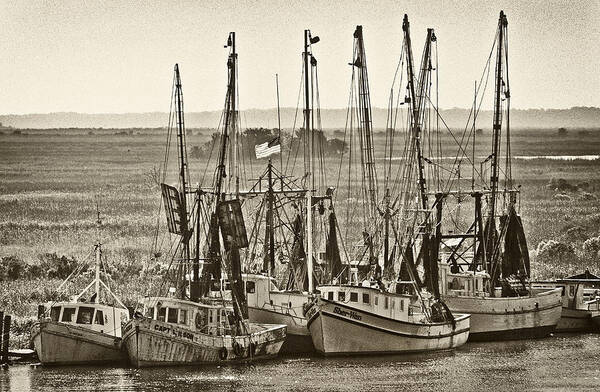 Shrimps Art Print featuring the photograph Work Boats Resting by Patrick Lynch