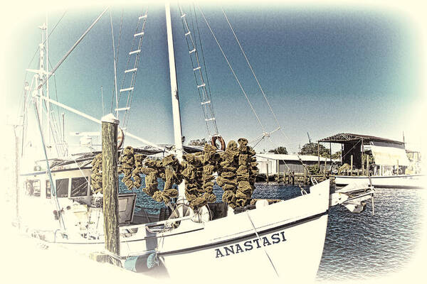 Tarpon Springs Art Print featuring the photograph Working Sponge Boat by Bill Barber