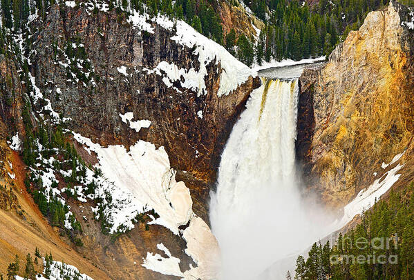 Yellowstone Falls Art Print featuring the photograph Yellowstone Falls from Lookout Point. by Jamie Pham