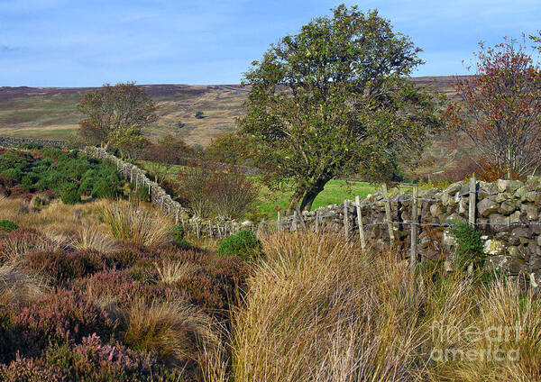 Yorkshire Art Print featuring the photograph Yorkshire Moors England by Martyn Arnold