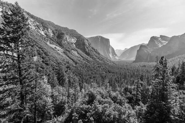 Yosemite Art Print featuring the photograph Yosemite Tunnel View by Mike Evangelist