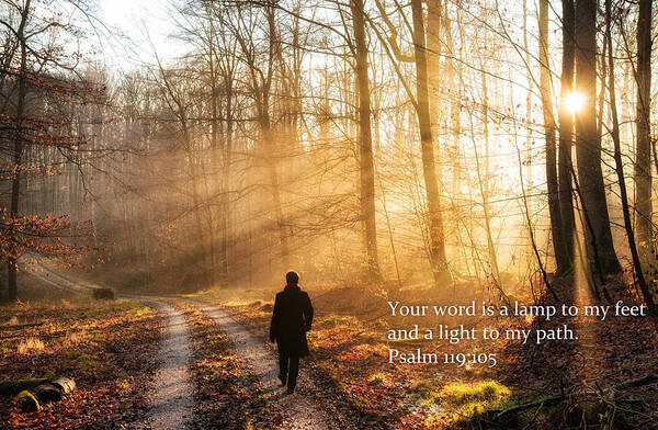 Psalm Art Print featuring the photograph Your word is a light to my path bible verse quote by Matthias Hauser