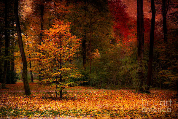 Autumn Art Print featuring the photograph Youth by Hannes Cmarits