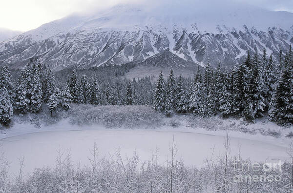 Alaska Art Print featuring the photograph Yukon Scenic by Ron Sanford
