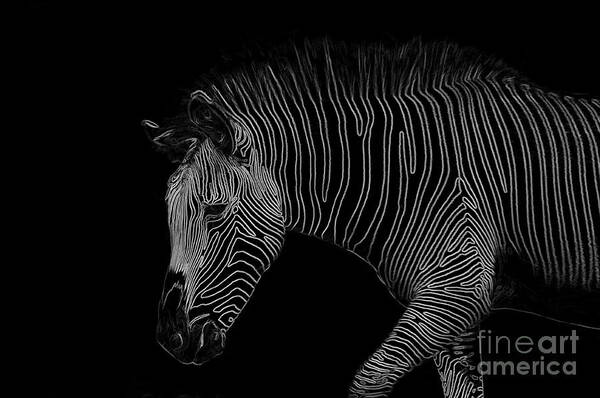 Zebra Art Print featuring the digital art Zebra Art by Bianca Nadeau