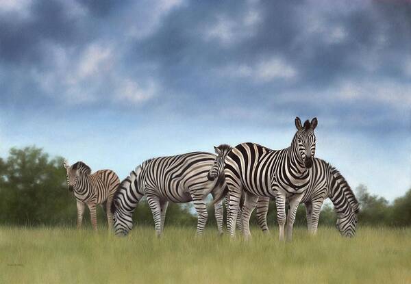 Zebras Art Print featuring the painting Zebras Painting #1 by Rachel Stribbling