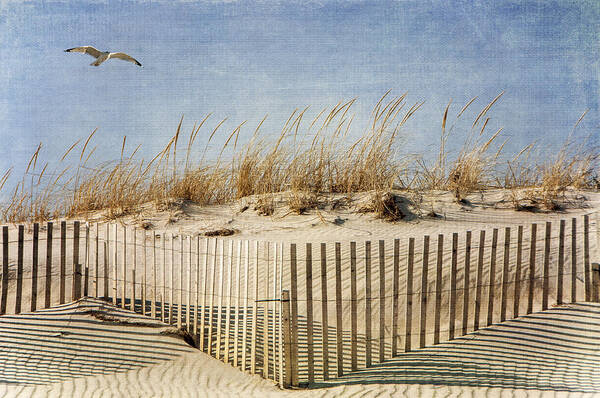 Beach Art Print featuring the photograph Zig Zag Beach by Cathy Kovarik