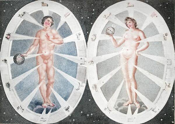 Astrology Art Print featuring the photograph Zoadiac Adam And Eve by Paul D Stewart