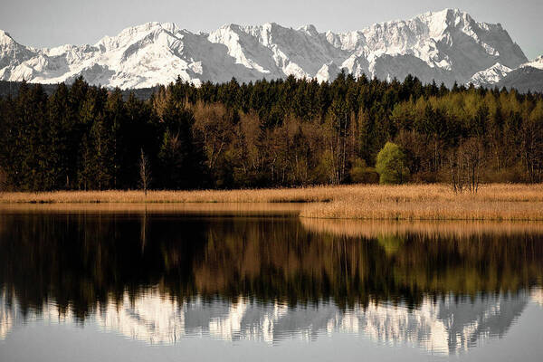 Tranquility Art Print featuring the photograph Zugspitze by Michael Fellner