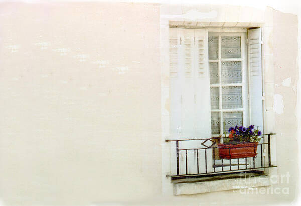 Window Art Print featuring the photograph Flower Box #2 by Bob Senesac