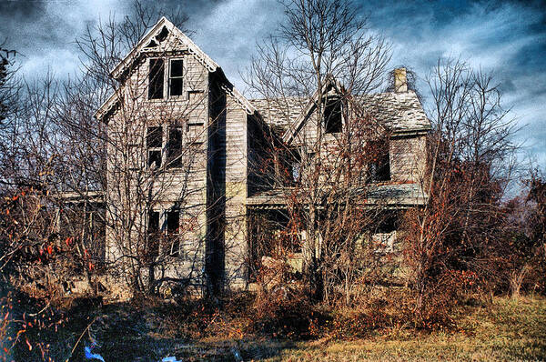 House Art Print featuring the photograph House in Ruins #1 by Trudy Wilkerson