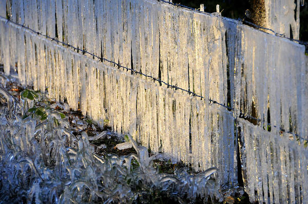 Fine Art Photography Art Print featuring the photograph Ice storm #1 by David Lee Thompson