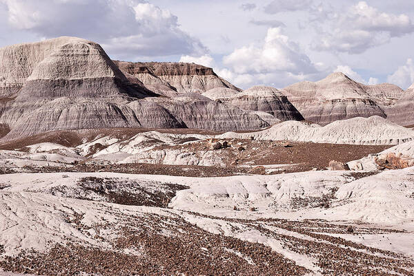 Painted Art Print featuring the photograph Petrified Forest National Park #2 by Melany Sarafis