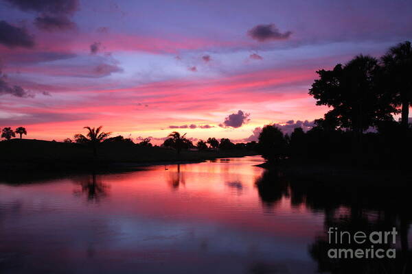 Florida Sunset Art Print featuring the photograph Plantation Preserve Sunset #1 by Jennifer Zelik