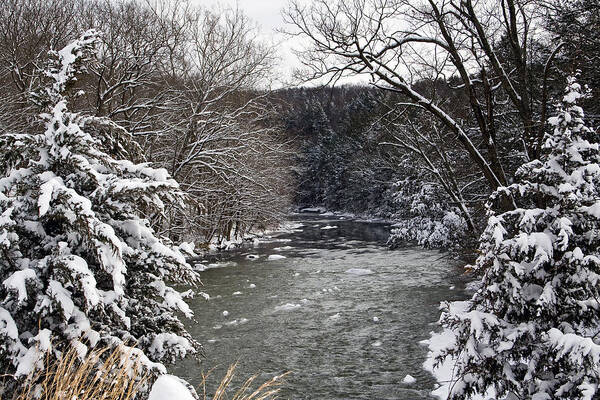 Landscape Art Print featuring the photograph Salmon River #1 by Gerald Mitchell