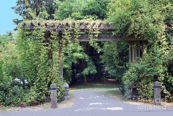 Wood Gate Art Print featuring the photograph Wood Trellis #1 by Bill Thomson