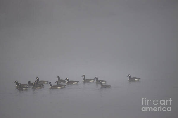  Art Print featuring the photograph Floating In The Fog #2 by Ang El