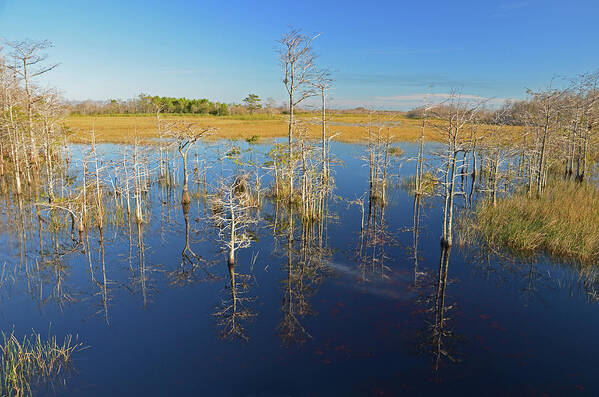  Art Print featuring the photograph 26- Reflections by Joseph Keane