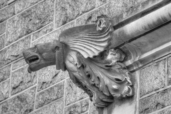 Arts District Art Print featuring the photograph A Gargoyle Profile by Dennis Dame