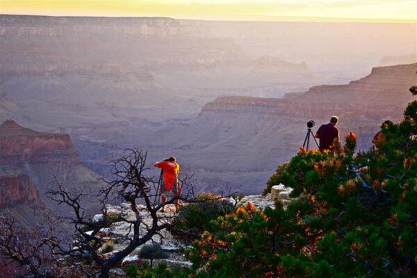 Grand Canyon Art Print featuring the photograph A Grand Meeting Place by Diana Hatcher